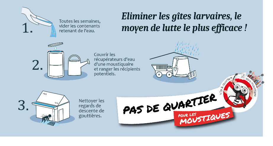 Larves de moustique dans l'eau stagnante